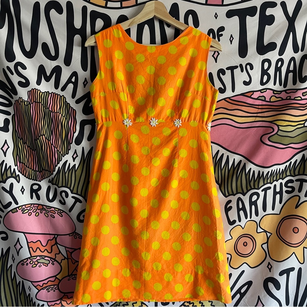 Amazing vintage 1960s dress